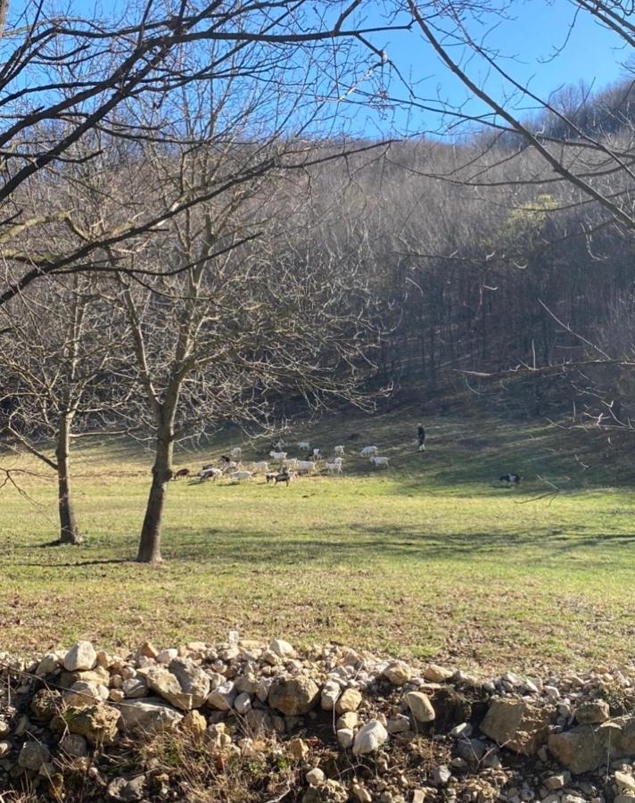 Soko Holiday Home Bihać Εξωτερικό φωτογραφία