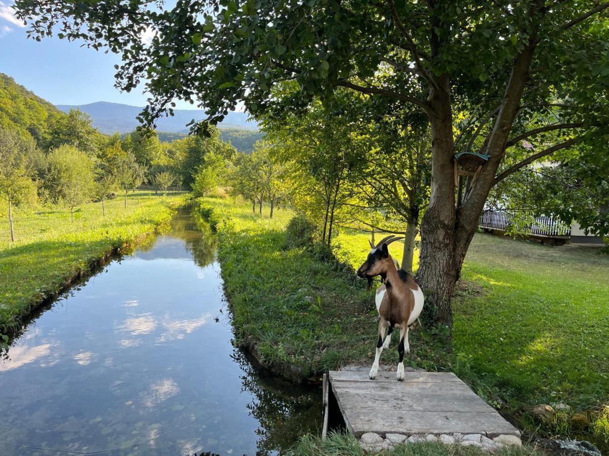 Soko Holiday Home Bihać Εξωτερικό φωτογραφία